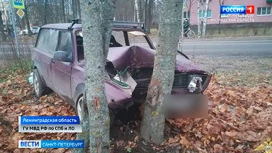 Задержан виновник ДТП со смертельным исходом в Поселке имени Морозова