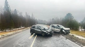 Шесть человек пострадали в аварии в Марий Эл