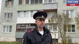 В Дедовичах полицейский спас пятилетнюю девочку из задымленной квартиры