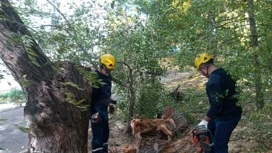 В Краснодаре бушует сильный ветер