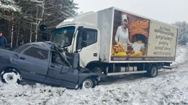 Водитель легкового авто погиб в утренней аварии на трассе в Параньгинском районе