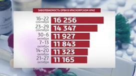 Жители Красноярского края стали реже болеть гриппом и ОРВИ