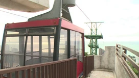 En el parque "Dendrarium" en Sochi han inaugurado un teleférico.