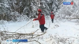 Непогода опять  создала аварийные ситуации  в энергетическом хозяйстве Новгородской области