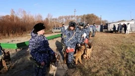 Кинологи Челябинской области показали, как собаки помогают задерживать преступников