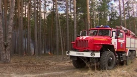 Итоги пожароопасного сезона подведены в Тюменской области