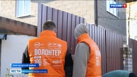 Новгородские волонтёры присоединились к Всероссийской акции "Мы вместе с папами"