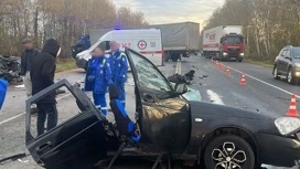 После гибели пяти человек в ДТП в Подмосковье возбудили уголовное дело