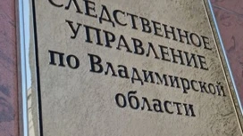 Жительница Коврова уморила сына голодом и выбросила тело в коробке