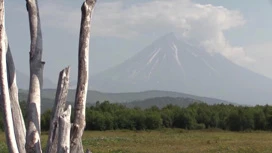 МЧС опровергло фейк о 9-балльном землетрясении на Камчатке