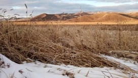 В части Забайкалья введен режим ЧС из-за гибели сельхозкультур