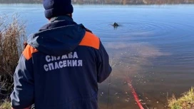 Тело рыбака и его автомобиль извлекли из воды в Удмуртии