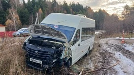 Девять человек пострадали в аварии в Тюменской области