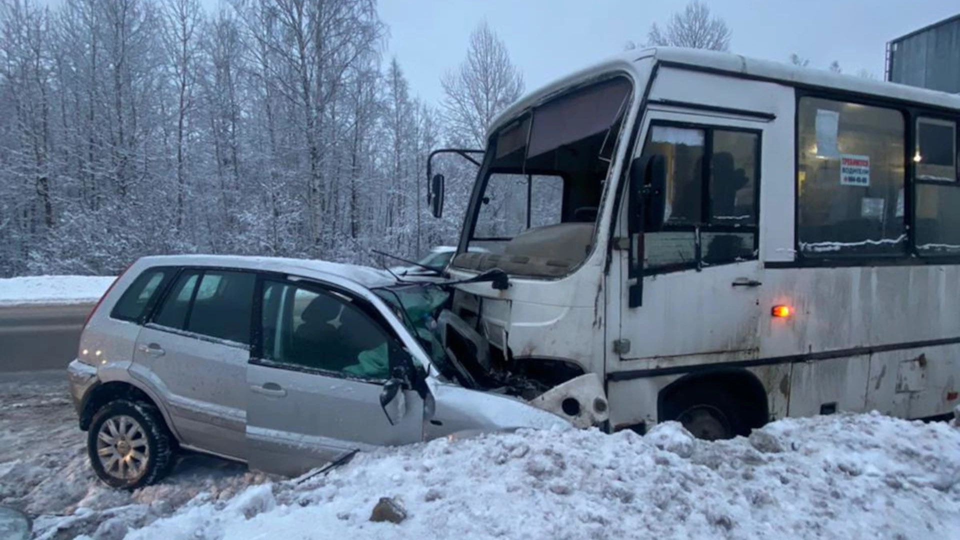 Управлявший автобусом мигрант устроил смертельное ДТП в Ленобласти