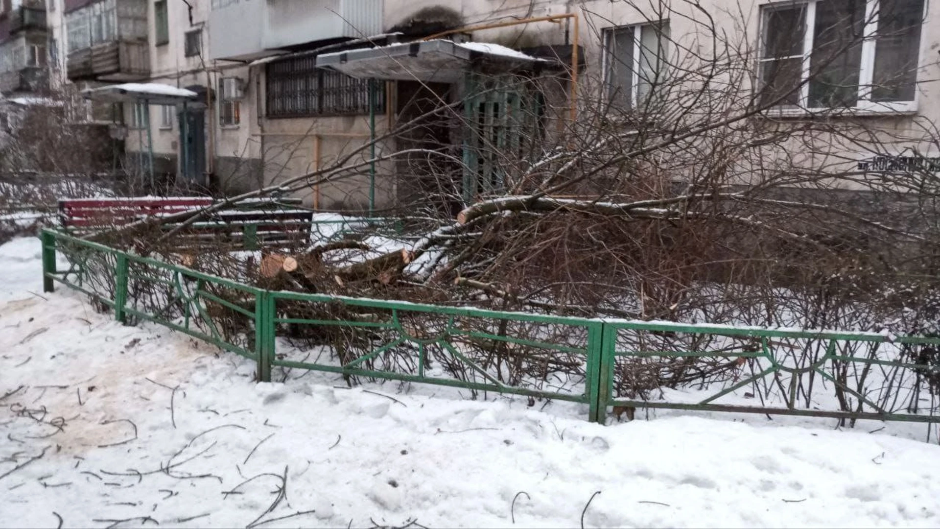 На Космонавтов в Липецке упавшее дерево повисло на электропроводе