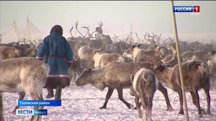 Démarre. Yamal Ether du 25.02.2025 (09:30)