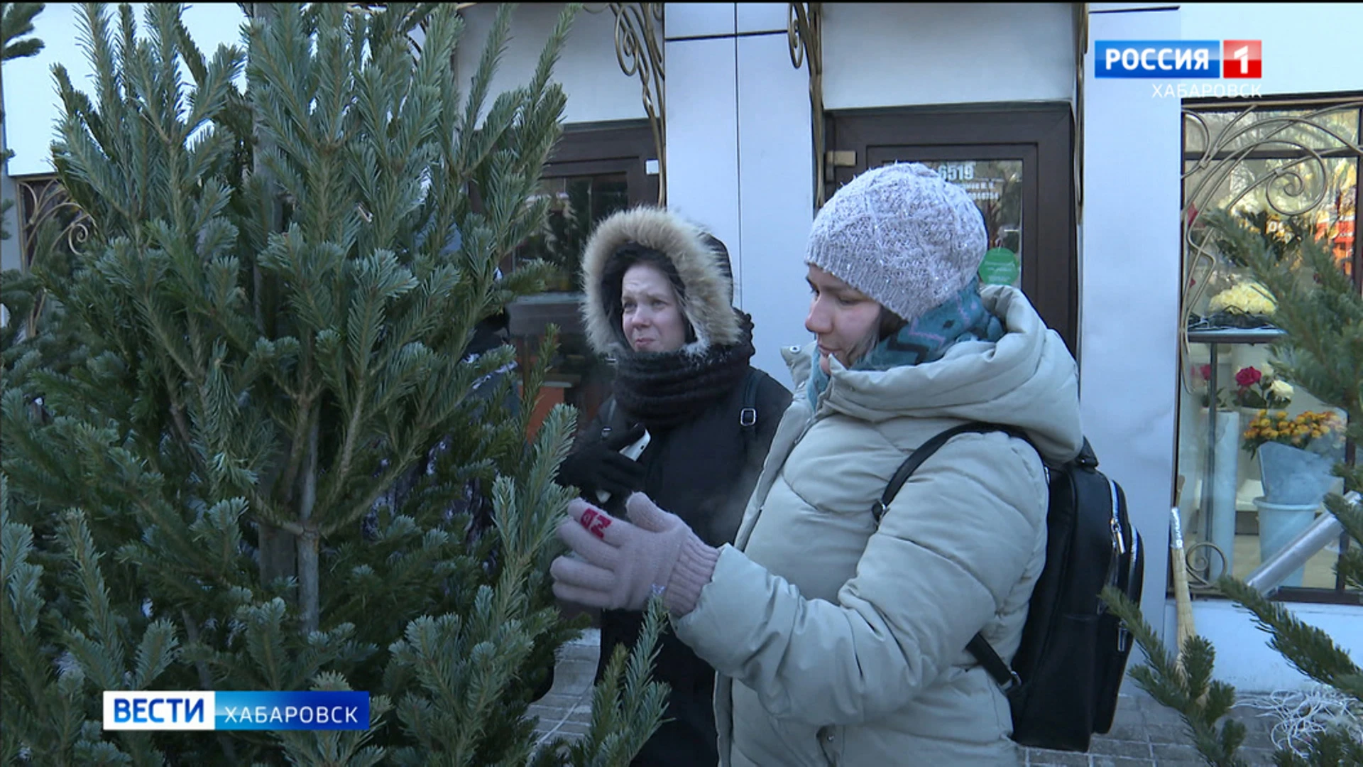 Приморские красавицы завоевывают сердца хабаровчан: в столице края начали работу елочные базары