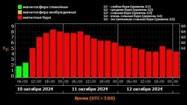 Мощная магнитная буря настигнет волгоградцев 10 октября