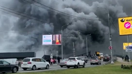 Пожар на рынке в Ногинске локализован, город затянут дымом