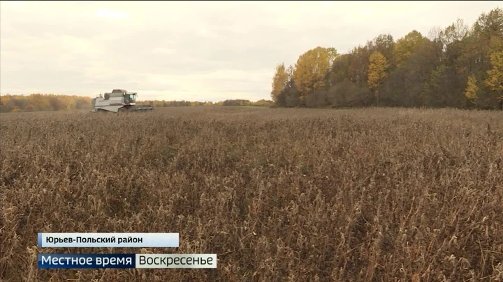 Вести. Владимир. События недели Эфир от 23.10.2022