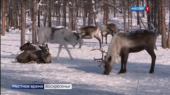 Местное время. Воскресенье. Саха Эфир от 23.10.2022