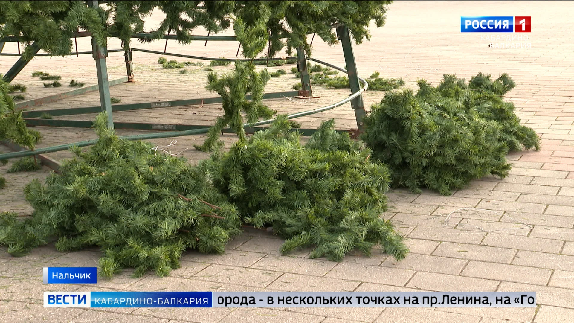 В Нальчике начали устанавливать новогодние елки