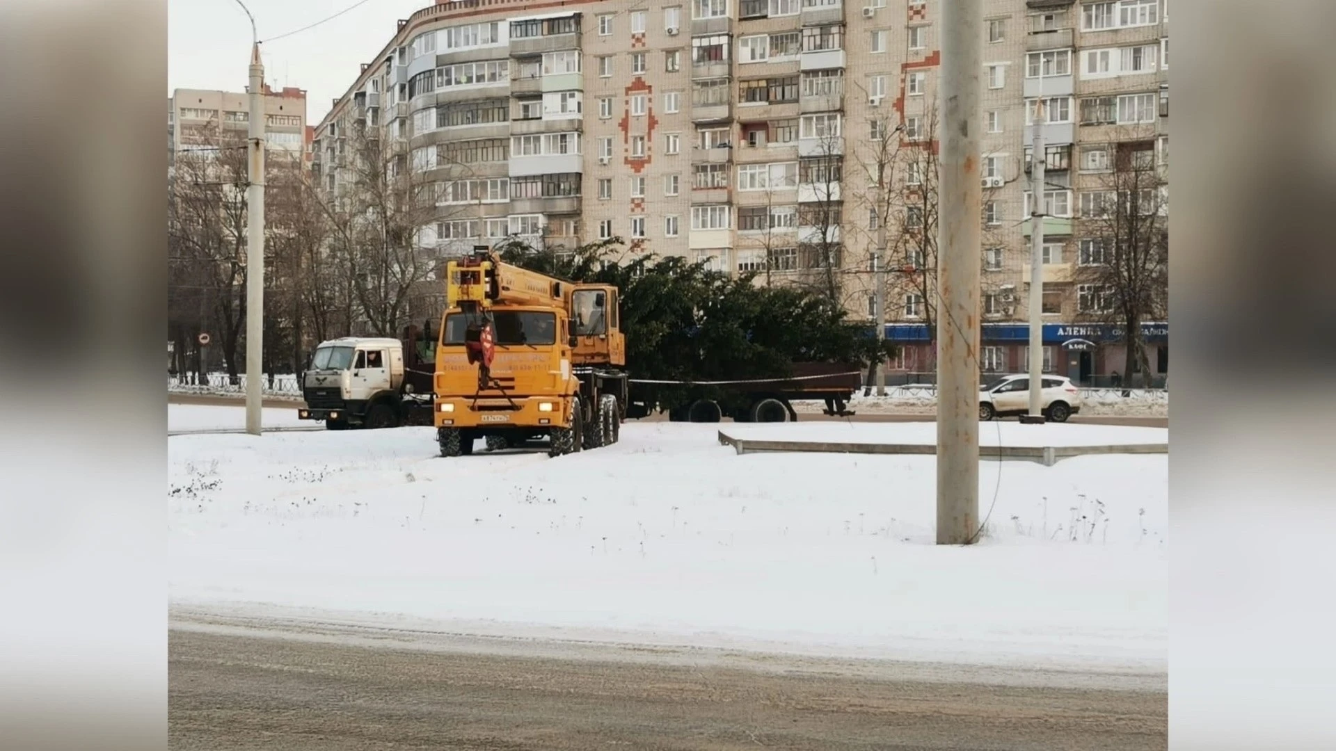 В Рыбинске устанавливают новогодние елки