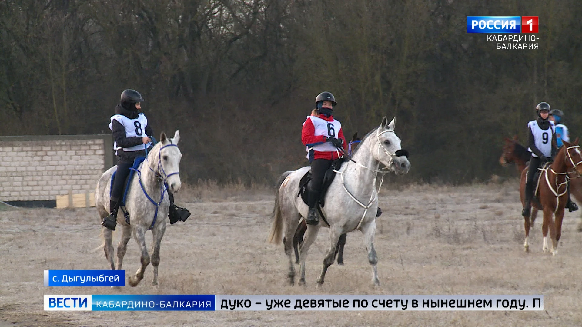 В Баксане провели всероссийские соревнования по дистанционным конным пробегам