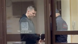 Суд в Москве избирает меру пресечения экс-супругу Лерчек Артему Чекалину