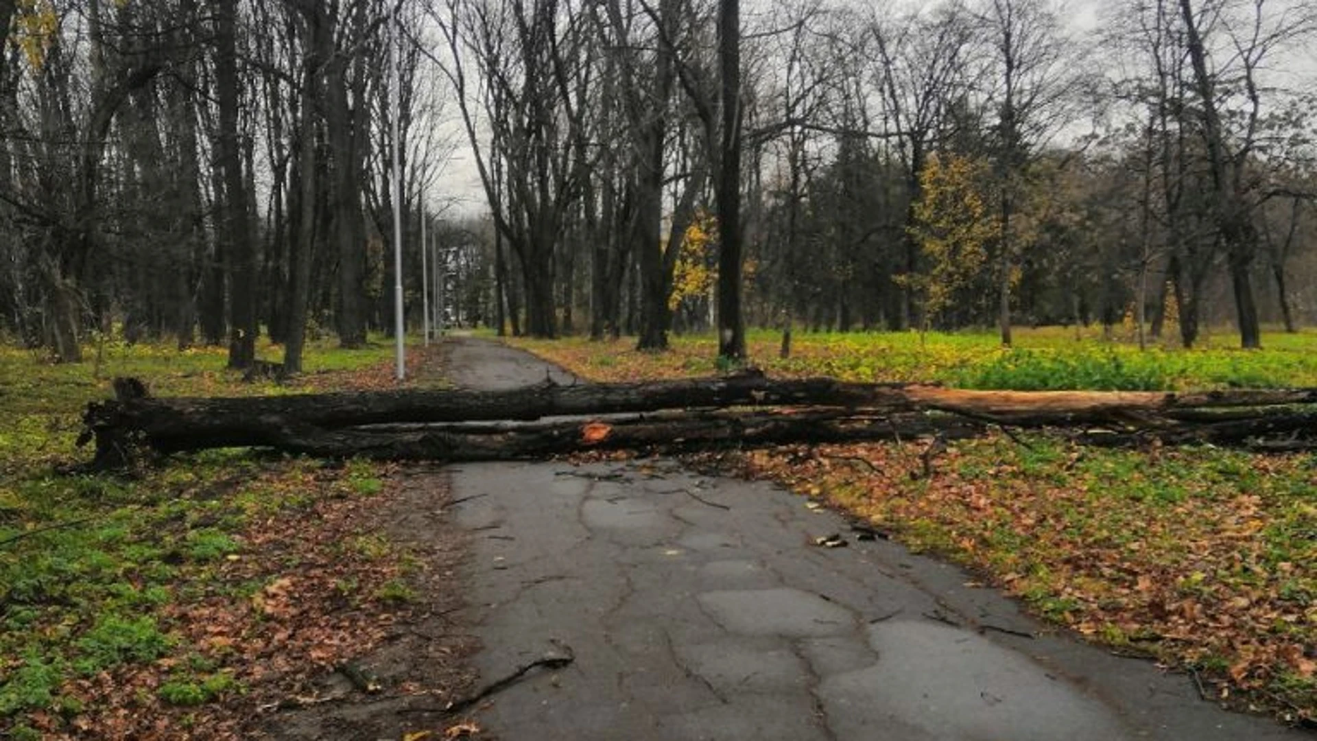 Последствия шквалистого ветра устраняют в республике