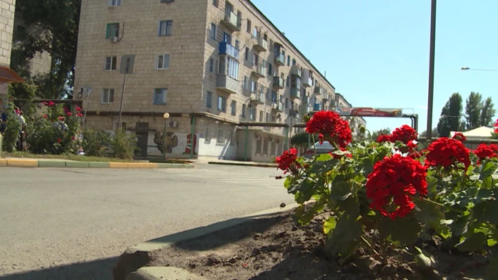 Вести. Волгоград Загрязнение воздуха и городские свалки: волнующие волгоградцев проблемы решает Экосовет