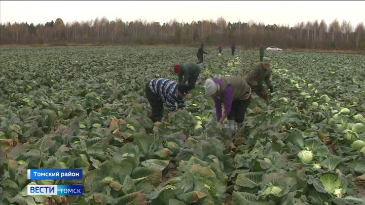 Вести. Томск Эфир от 11.10.2022 (14:30)