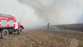 Больше 12 гектаров сухой травы сгорело в Липецкой области за день