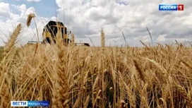 В Татарстане завершилась уборка основных зерновых