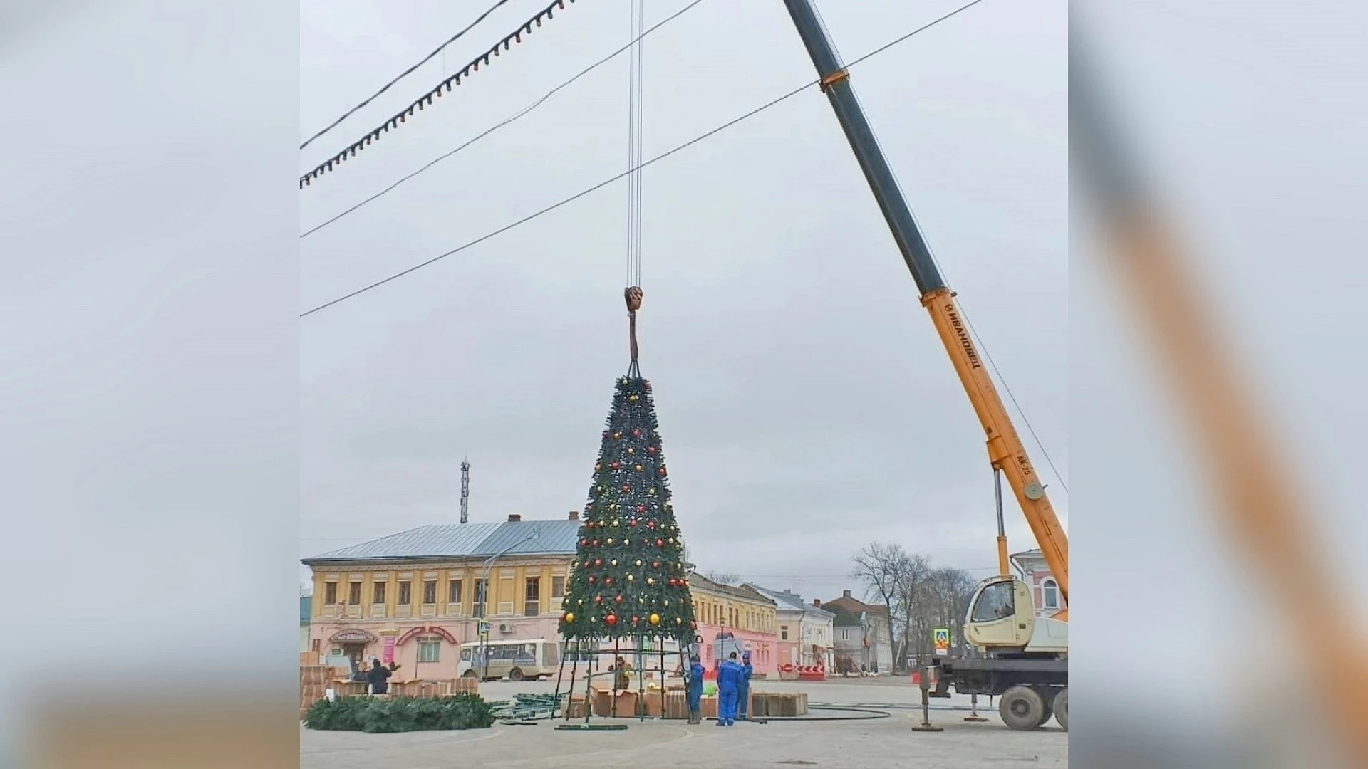 В Угличе новогодняя ель украсит главную площадь к Дню рождения Деда Мороза