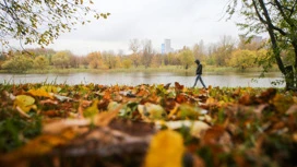 Леус: бабье лето в Москве подошло к концу