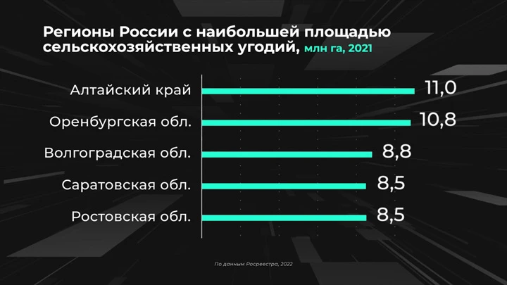 Инфографика Россия в цифрах. Сколько земель используется в сельском хозяйстве?