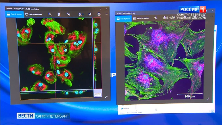 Вести. Санкт-Петербург Петербургские ученые изобрели вакцину против рака