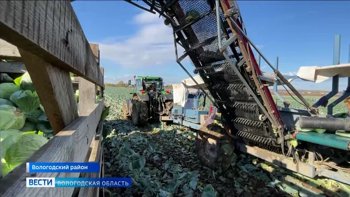 Вести. Вологодская область Вологодские аграрии успешно завершают на полях уборочную кампанию