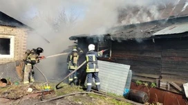 Три дома сгорели из-за детской шалости с огнем в Кузнецке Пензенской области