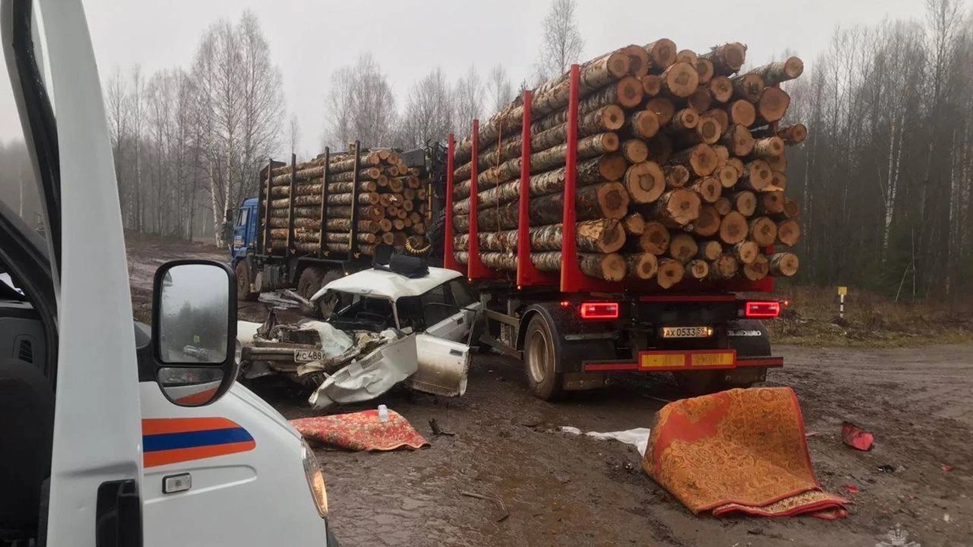 Маленький ребенок и его мама погибли в ДТП с лесовозом