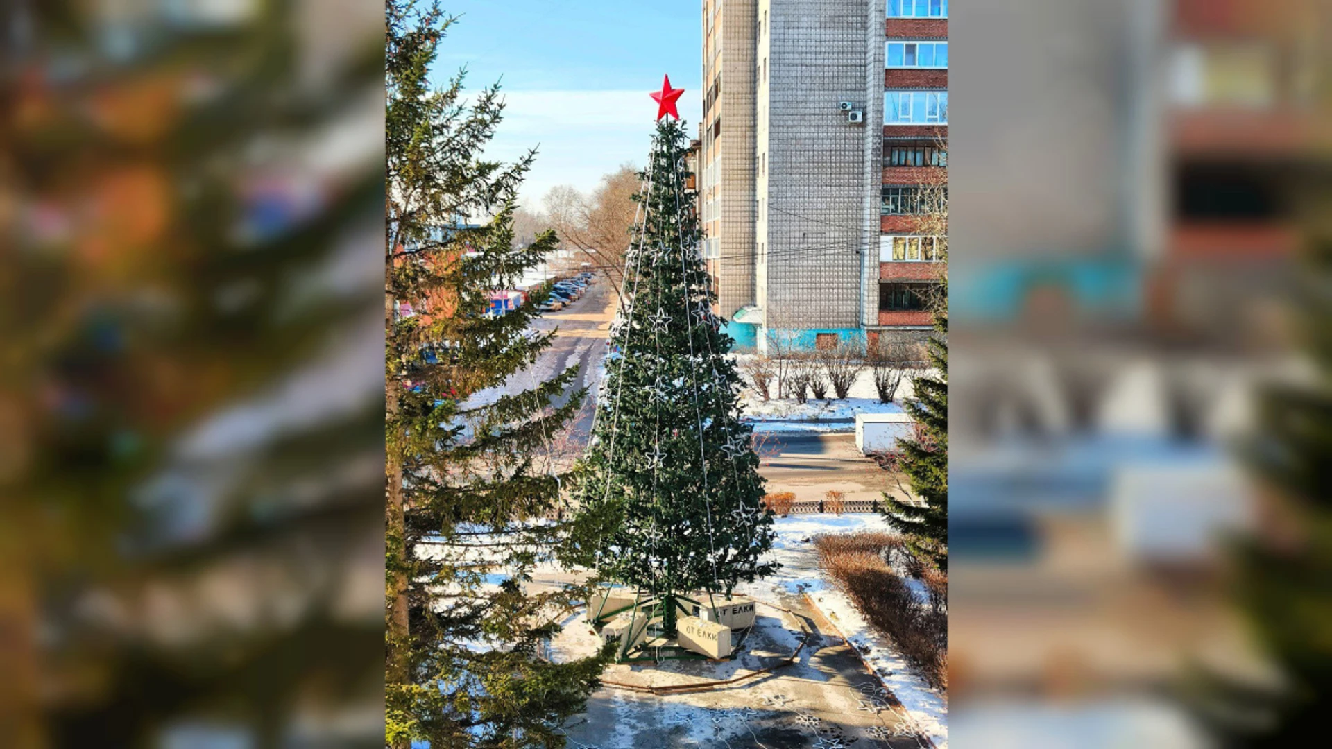 Первые новогодние елки начали появляться в Томске