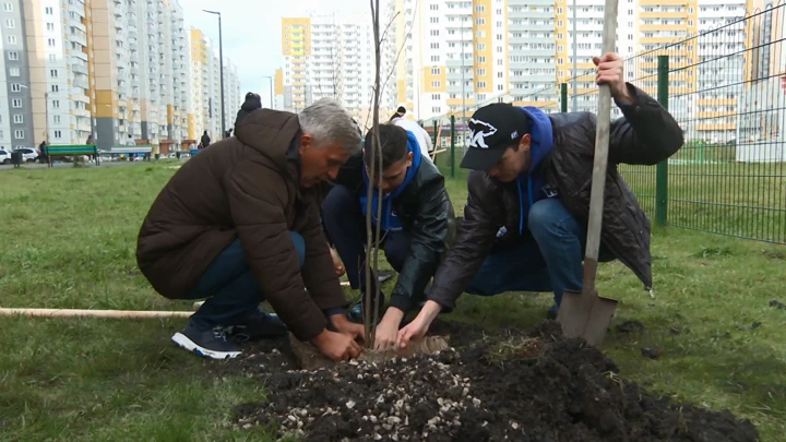 Вести. Красноярск В Красноярске появилась Аллея Ангелов в память о погибших детях Донбасса