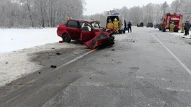 Женщина-водитель погибла в ДТП на трассе в Марий Эл