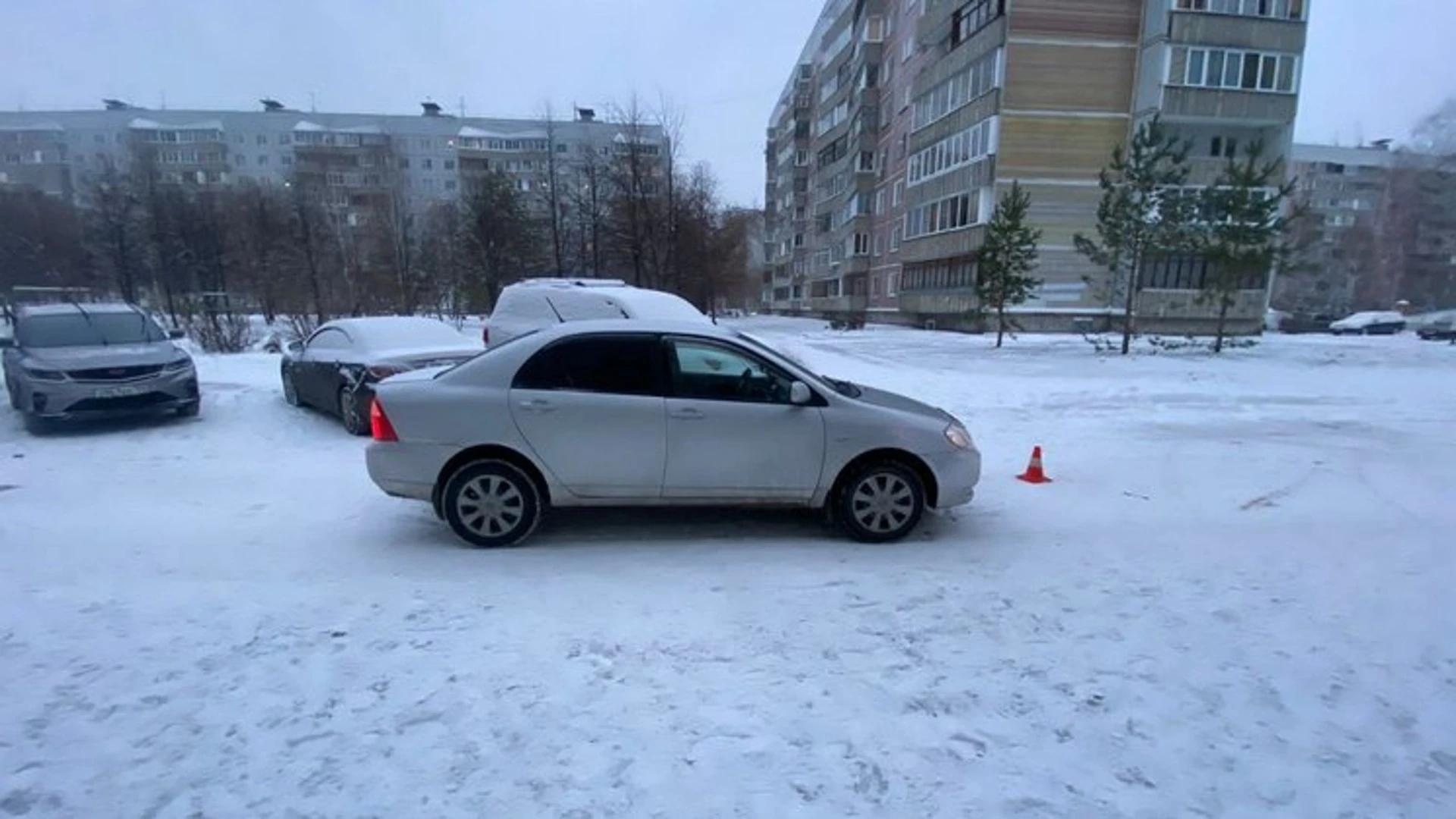 В Новосибирске шестилетний мальчик выбежал под колеса машины и попал в больницу