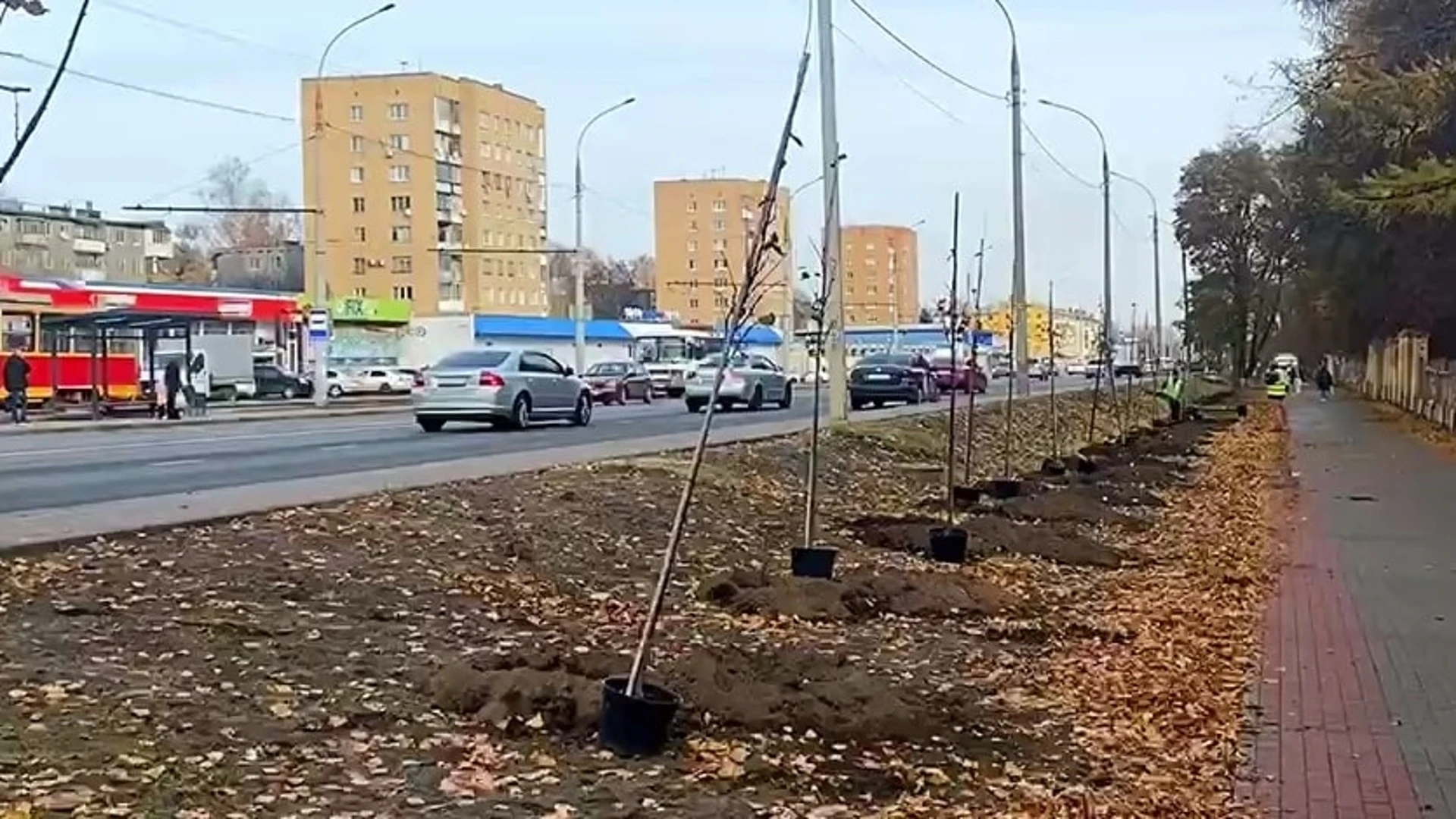 На Комсомольской в Орле начали сажать деревья