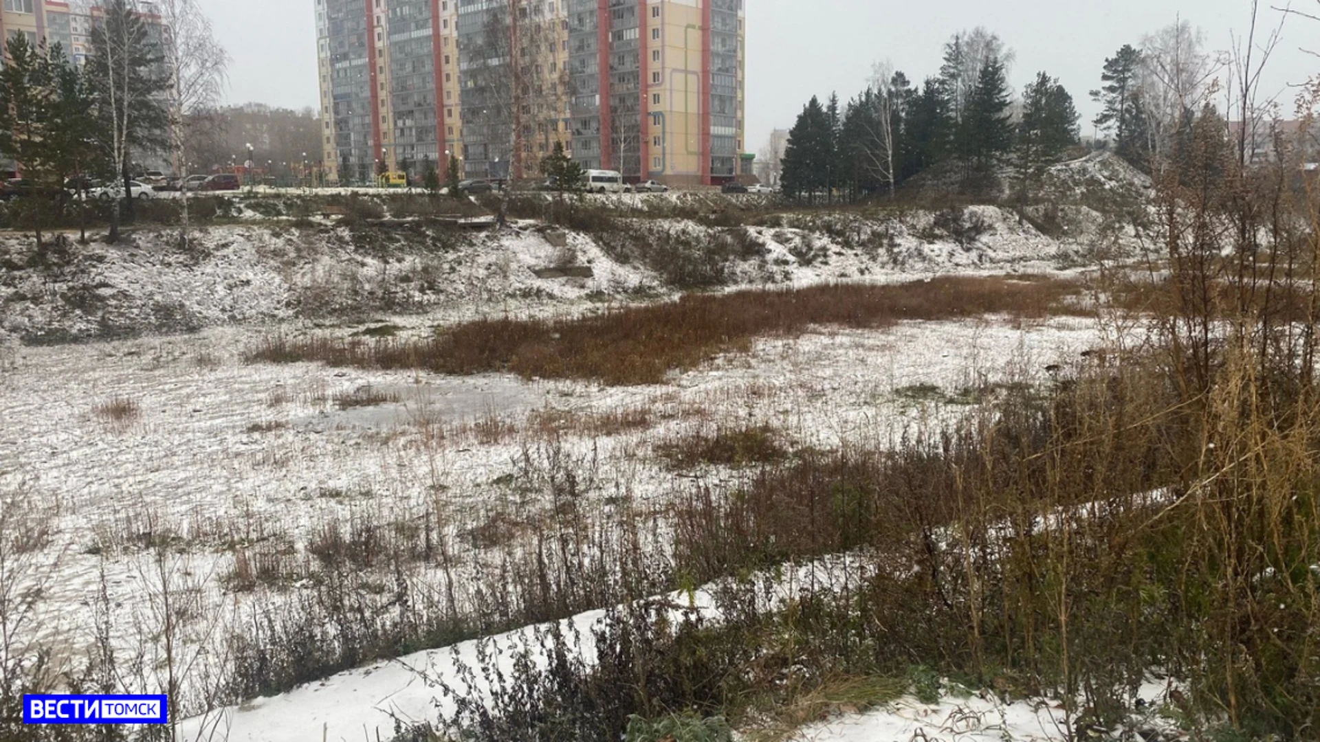 Озеро Док в Северске планируют искусственно наполнить водой