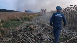 В Тамбовской области тушат пожар, повредивший 44 строения