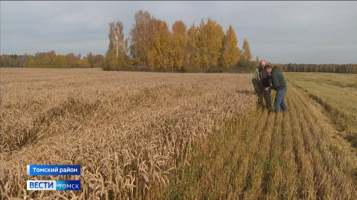 Вести. Томск Эфир от 22.09.2022 (21:05)