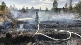 В Липецкой области в 84 пожарах сгорело более 25 га сухой травы за выходные